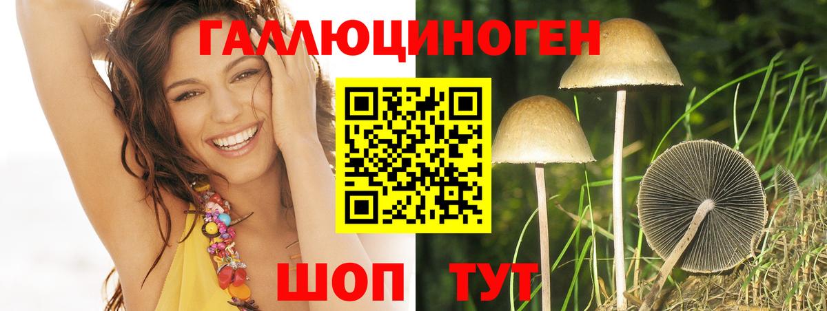 Галлюциногенные грибы мухоморы Октябрьский